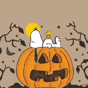 Meet your Posher, Daishon